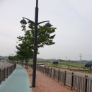 시흥갯골생태공원 공연후기 이미지