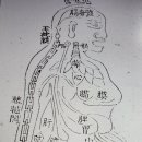 동의보감요약정리ㅡ434 이미지