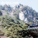 매화산 등산로(정상)