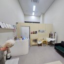 107 | 전주 혁신도시 애견미용 트리밍107 후기｜비숑 첫 방문도 편안했던 이유