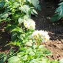 해맞이해안로 이미지