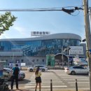 송정cafe1913 네이버블로그