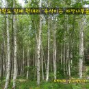 수원1리 노인회관 이미지