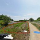 안성면001 이미지