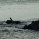 올레친구 이미지