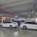 566 | 김포 대형카페 추천 기네스북 등재된 포지티브스페이스 566 아기랑 다녀온 후기