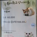 옥스 그루밍 이미지