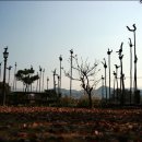 청풍호뜨락 이미지