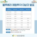 나주로컬푸드체험투어 루루블루베리 따면서 신나게 먹은 후기