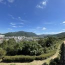 헌삥