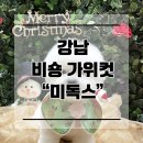 미독스 이미지