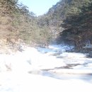 2월12일(일요일) 제왕산 눈꽃산행 4시간산행(구대관령휴게소 출발)~박물관까지 이미지