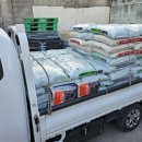 한농종묘사 이미지