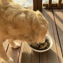 스테이어단 이미지