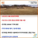 대금태양광발전소 이미지