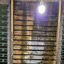 알베로 | 김해 알베로 카페, 솔직 방문 후기(메뉴,분위기)