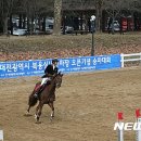 복용승마장 2층 이미지