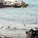 이호해변 이미지