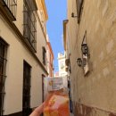 프로포즈 벤치 | 여행 4일차 : 세비야 대성당 맛집, 알카사르 궁전, 플라멩고 공연, 기념품 쇼핑, 스페인광장, 답프로포즈