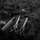 동물미용업 영업등록신청 이미지