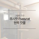 푸시캣 네이버블로그