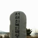 훼미리플라워 이미지