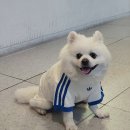공덕위드피아노학원 | 공덕피아노 배우기 좋은 아띠피아노 마포점 솔직 후기