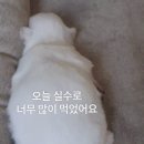 육회왕김연어 - 부천시 소사구 부광로8번길 15 | 육회왕김연어