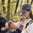 김해유치원 이미지