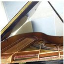 글로리 피아노 이미지