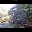 제852차 경주 동대봉산 무장봉(624m) 산행 이미지