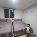 제주도 4인 가족 숙소 후기(용스테이, 나무앤씨 키즈펜션, 뉴그린펜션, 코코스펜션)