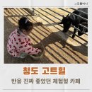 금천로 | 청도 아이랑 갔다가 반응 터진 곳, 청도 고트힐 솔직후기