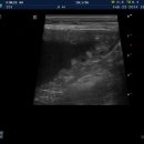 킴리동물병원 이미지