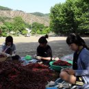 대룡초등학교 이미지