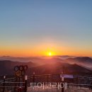 한산 F&P 이미지