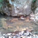 가신원통길 이미지