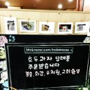 호담호두과자이야기