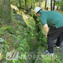 서귀포자연휴양림3 이미지