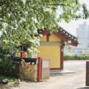 흥해스파월드 이미지