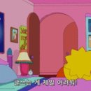 헤어망고 - 여수시 | 헤어망고