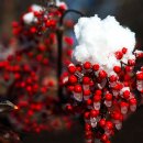 솔빛공원 1 이미지