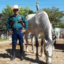 카우보이 이미지