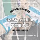 동거독락 | 대구 10년 차 강아지가 추천하는 여름 아이템 " 논스톱 도그웨어 쿨링베스트 "