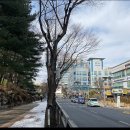 카페오후 - 순천시 연향번영5길 6 | 카페오후