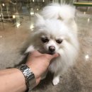 헤이독청주 이미지