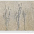 멜로디펜션 - 용인시 처인구 유림로227번길 23 | 멜로디펜션
