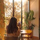 스마트폰으로 배우는 사진촬영과 보정법 | 민썸 책 오늘을 남기는 기록 스마트폰 사진 촬영 보정 따라해본 후기