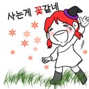기능성신발 이미지