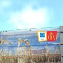 올림픽스포츠 이미지